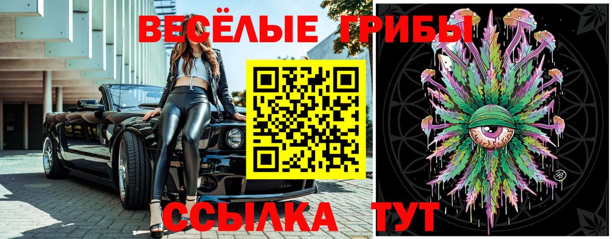купить   Галлюциногенные грибы Psilocybe  Вход с VPN  Псилоцибиновые грибы GOLDEN TEACHER  Белореченск 